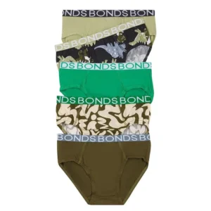 Sleepy Dinoaur 5pk Briefs