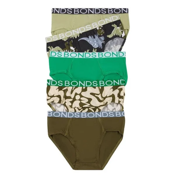 Sleepy Dinoaur 5pk Briefs
