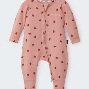 ladybird baby gift