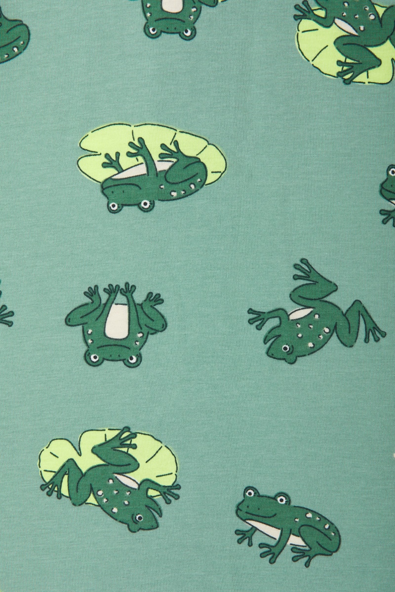 frog baby gift