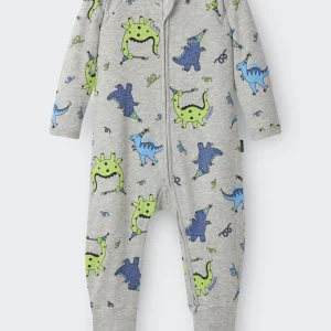 dinosaur baby gift