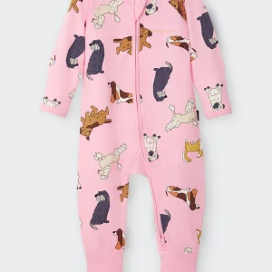 dog bonds wondersuit